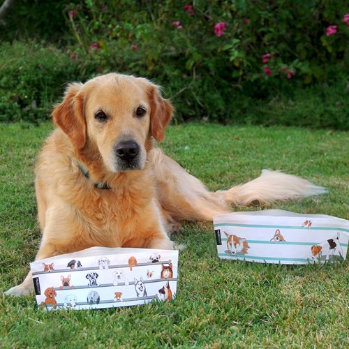 Wuff'n'Go - Hordozható kutya tál