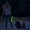 LED-es póráz (akkumulátoros) zöld