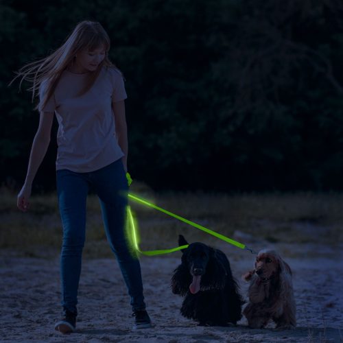 LED-es póráz (akkumulátoros) zöld