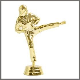 FIGURA Női Karate 11,9 cm gravírozható