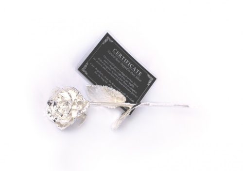 Silver Rose, ezüst rózsa fekete bársonydobozban