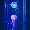 Medúza Akvárium hangulatvilágítás
