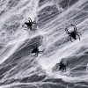 Halloween-i pókháló és pók - fehér