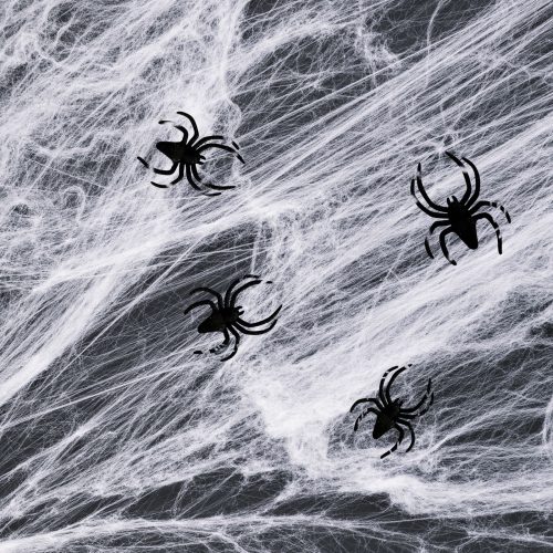 Halloween-i pókháló és pók - fehér