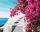 Santorini virágai - Számfestő készlet kereten 40X50