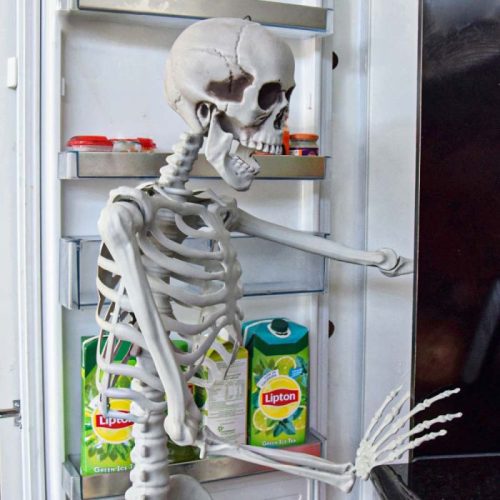 Életnagyságú csontváz 170cm