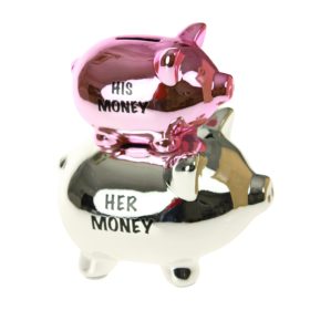 "His money/her money" feliratú malacpersely