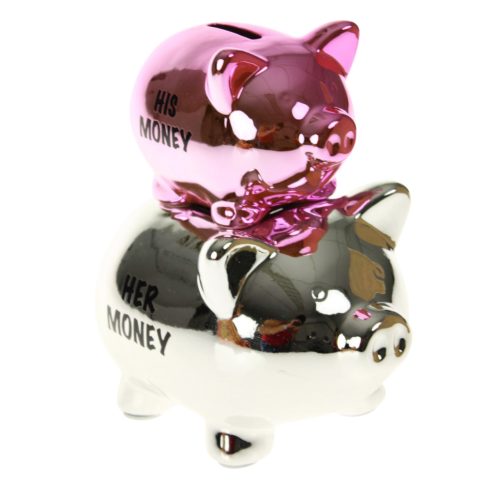 "His money/her money" feliratú malacpersely