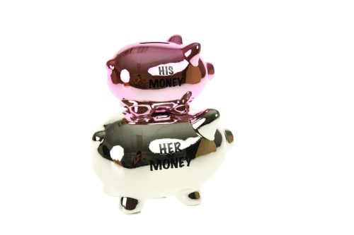 "His money/her money" feliratú malacpersely