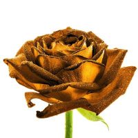 Romantikus ajándékok